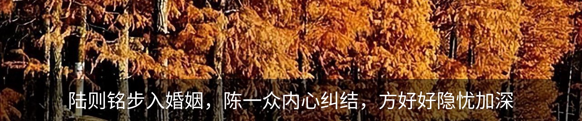 内页banner